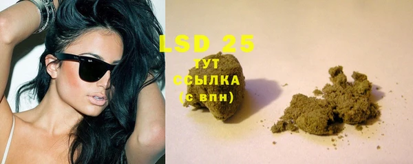 гидра Володарск
