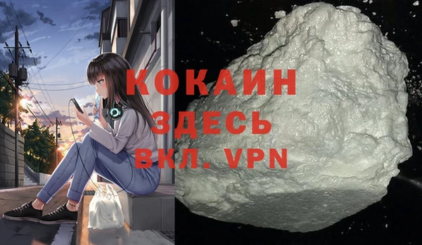 гидра Володарск