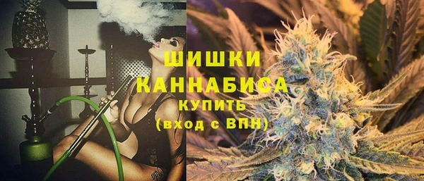 гидра Володарск