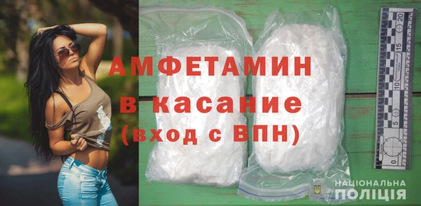 гидра Володарск